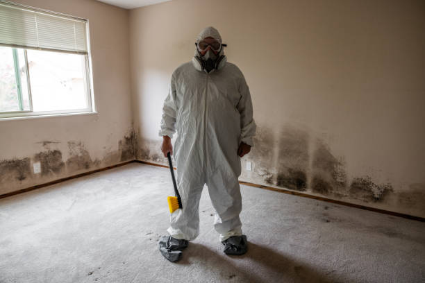 Best Asbestos and Lead Testing During Mold Inspection  in Garyville, LA